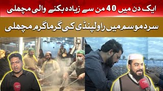 Fish that sells for more than forty pounds in a day | Hum News