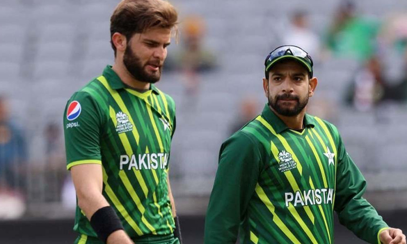 شاہین آفریدی