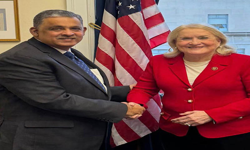 پاکستانی سفیر