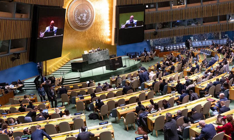 جنرل اسمبلی