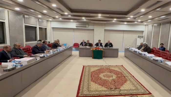 حکومت اور تحریک انصاف کے درمیان مذاکرات کا پہلا دور ، بات چیت جاری رکھنے پر اتفاق تحریک انصاف