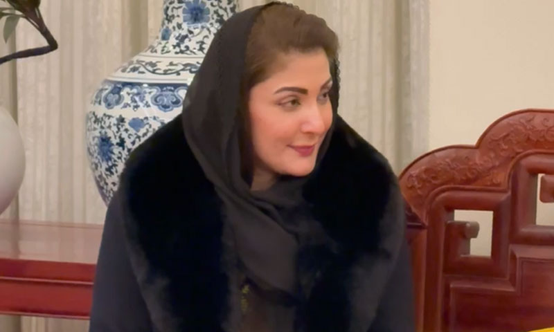 پنجاب کو اقتصادی اور معاشی بلندیوں پر لے کر جانا چاہتے ہیں، وزیر اعلیٰ پنجاب Maryam Nawaz