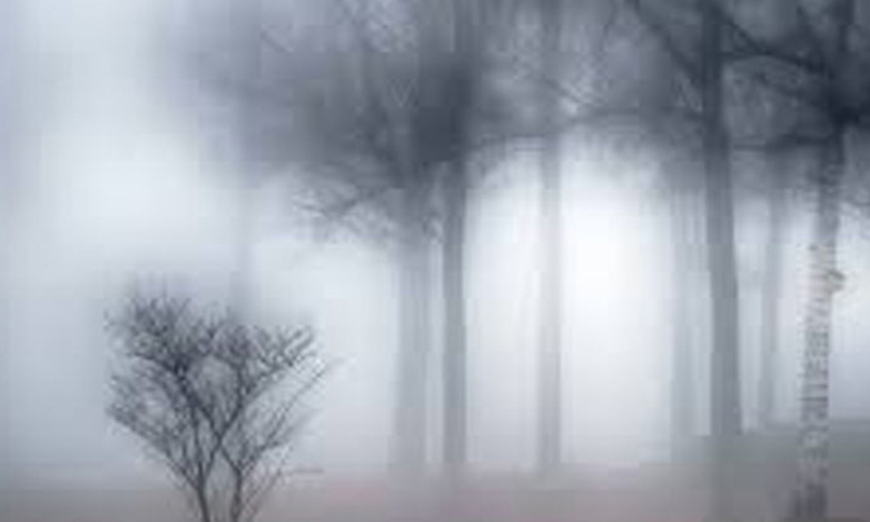 سرد اور خشک