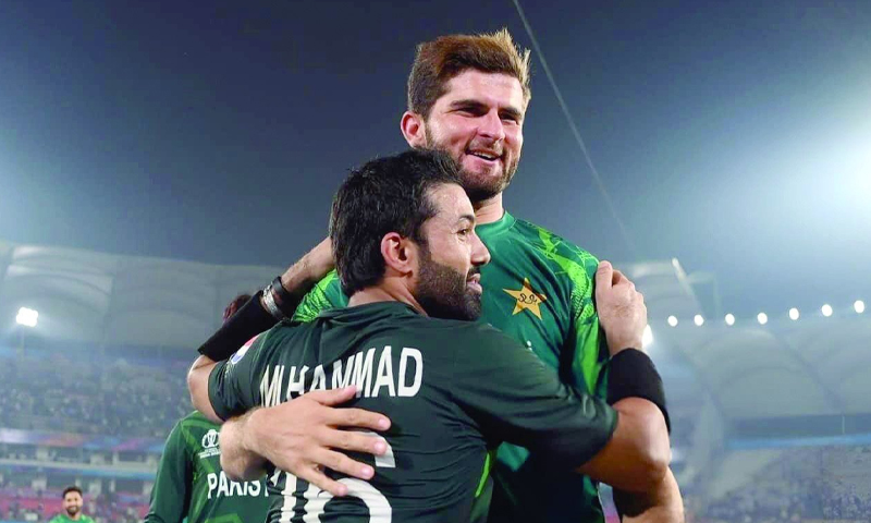 شاہین آفریدی