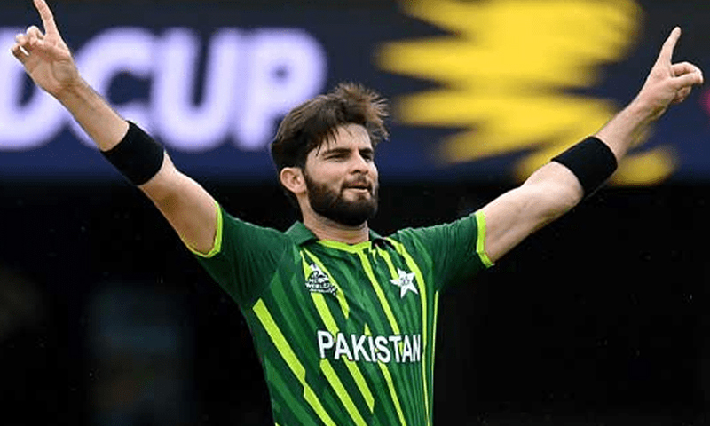 شاہین آفریدی