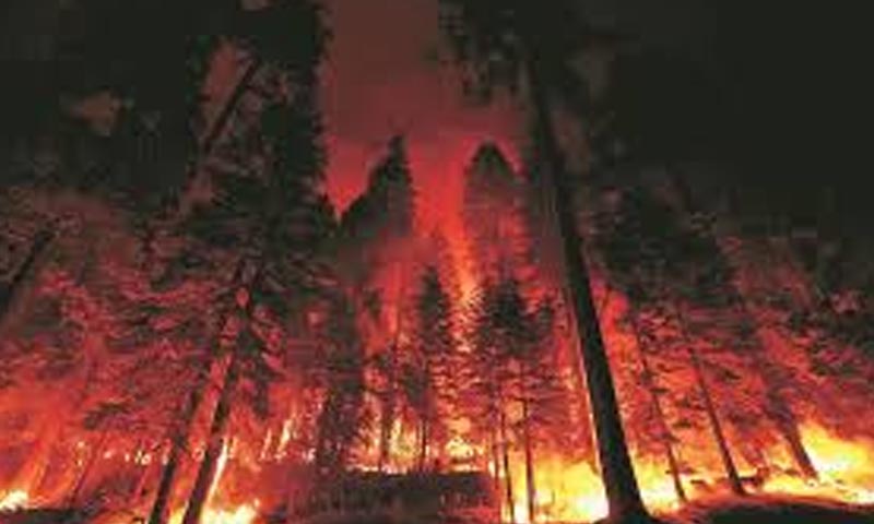 لاس اینجلس آگ