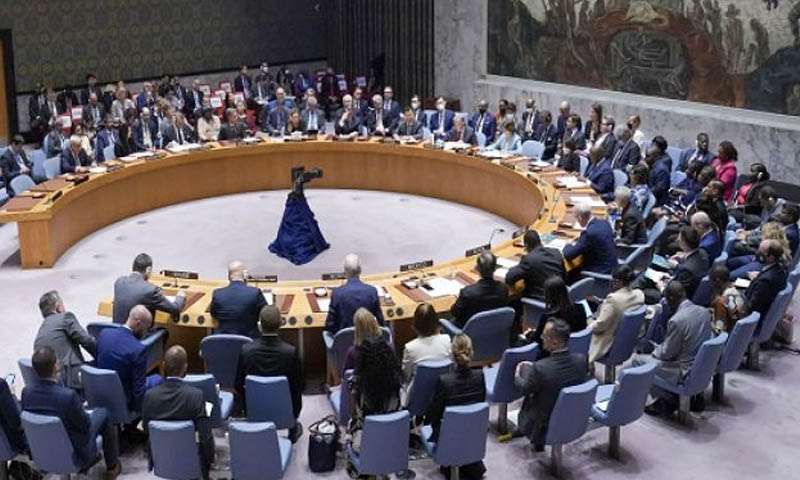 سلامتی کونسل