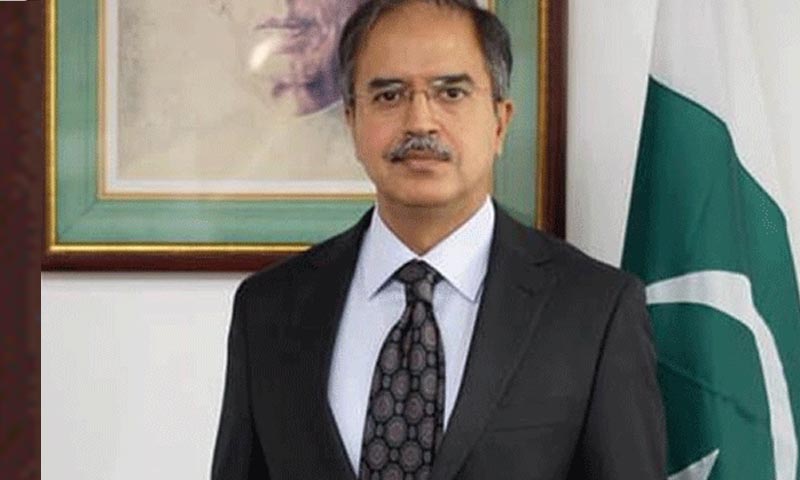 پاکستانی مندوب