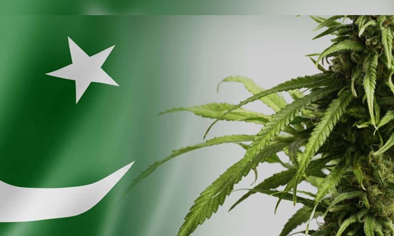 میجر جنرل (ر) ظفر اللہ خان ڈی جی بھنگ کنٹرول اتھارٹی تعینات
