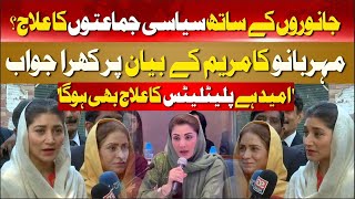 Meher Bano Qureshi Strong Reply to Maryam Nawaz | PTI vs PMLN | Hum News