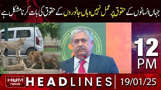Hum News Headlines | Justice Athar Minallah Lash Out On Judiciary System | 12 PM