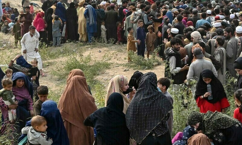 غیر قانونی تارکین