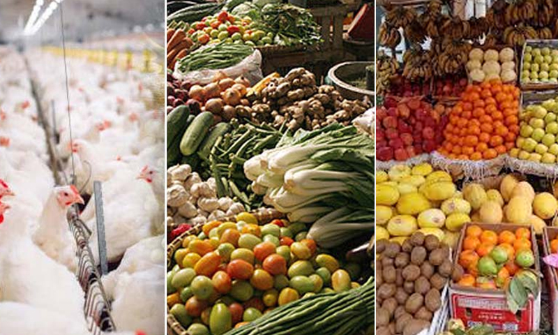 مرغی کا گوشت