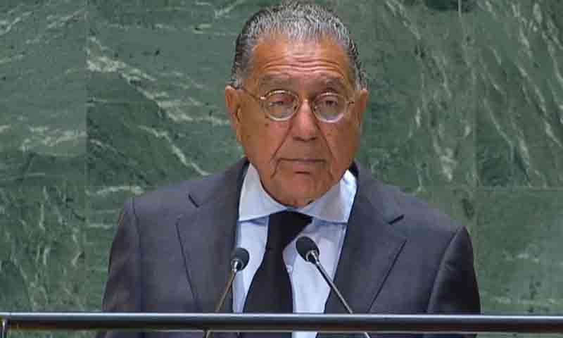 پاکستانی مندوب