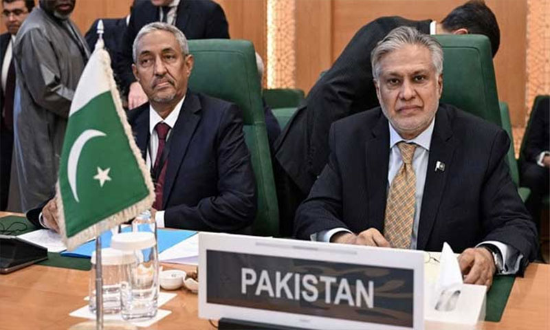 پاکستان فلسطین کیساتھ ہے، عرب لیگ کے فیصلے کی حمایت کرتے ہیں، وزیر خارجہ Ishaq Dar