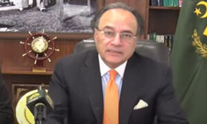 پاکستان میں پیٹرولیم سپلائی کی صورتحال مستحکم ہے، وزیر خزانہ