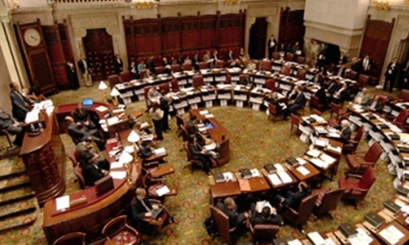 نیو یارک کی ریاستی اسمبلی اور سینیٹ کی جانب سے پاکستانی امریکی کمیونٹی کے اعزاز میں دو اہم قراردادیں منظور پاکستانی امریکی کمیونٹی