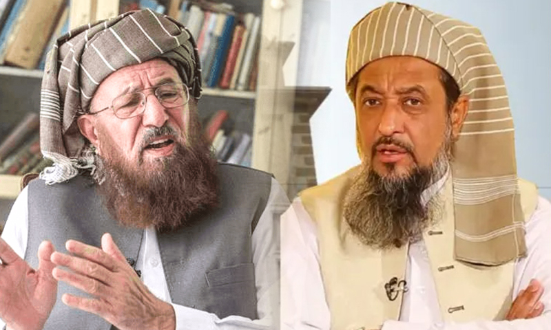 مولانا حامد الحق