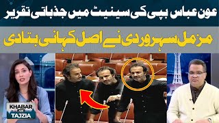 Senator Aon Abbas Buppi's Aggressive Speech in Senate | Khabar Aur Tajzia