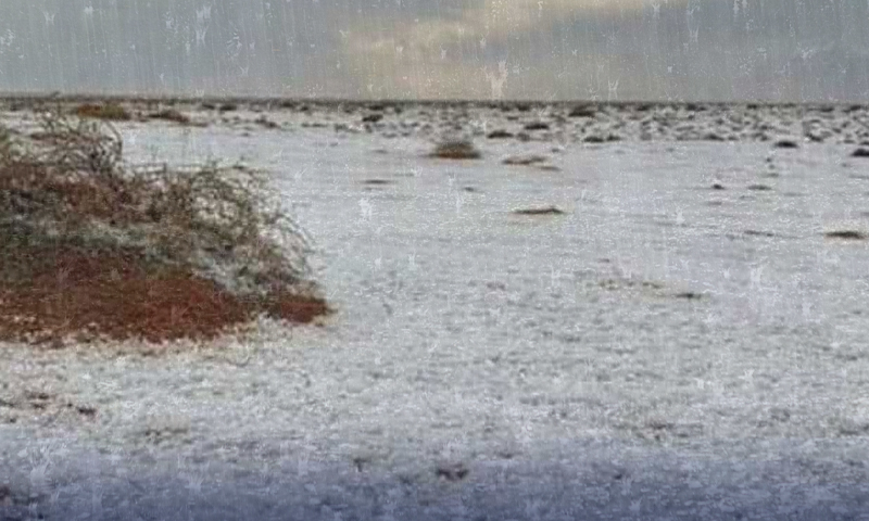 موسلا دھار بارش