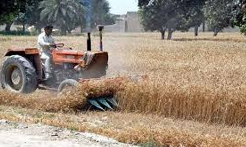 پنجاب حکومت ہمیں گندم مصنوعات برآمد کرنے کی اجازت دے ، چیئرمین فلورملز ایسوسی ایشن وزیراعلیٰ پنجاب