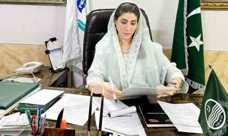پنجاب ایسڈ کنٹرول بل 2025 قائمہ کمیٹی میں منظور ایسڈ کنٹرول بل