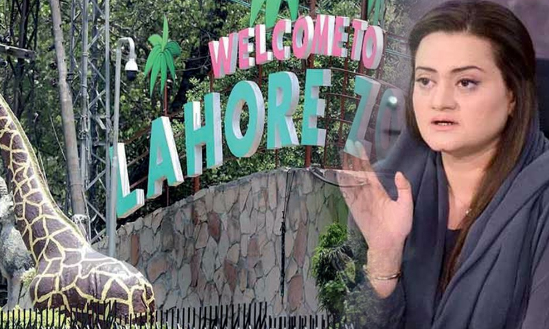 مریم اورنگزیب