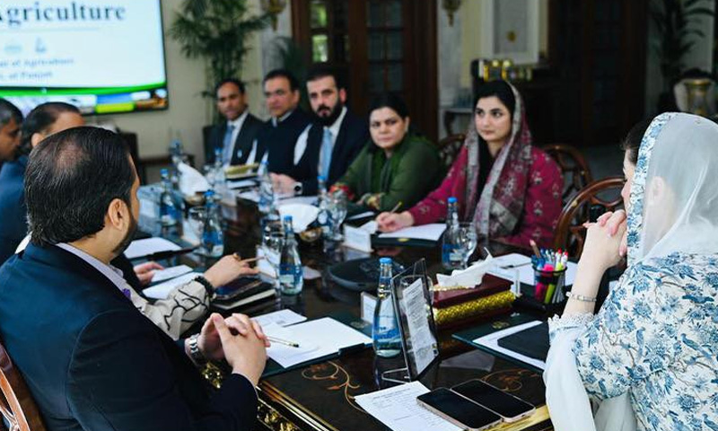پنجاب میں گندم کی آزادانہ نقل و حمل کی اجازت