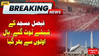 Faisal Mosque Windows Were Broken, The Hall Was Filled with Hailstones | Hum News