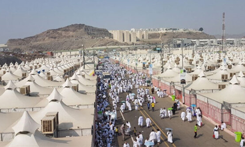 سعودی حکومت