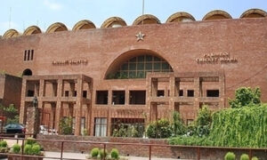 سوشل میڈیا پر سیاسی پوسٹ ہرگز برداشت نہیں ، پی سی بی کی کھلاڑیوں کو وارننگ