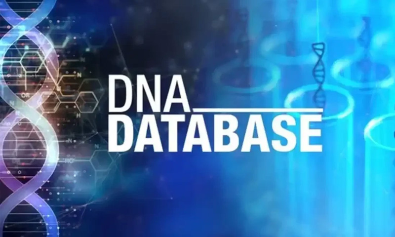 ڈی این اے ڈیٹا بیس