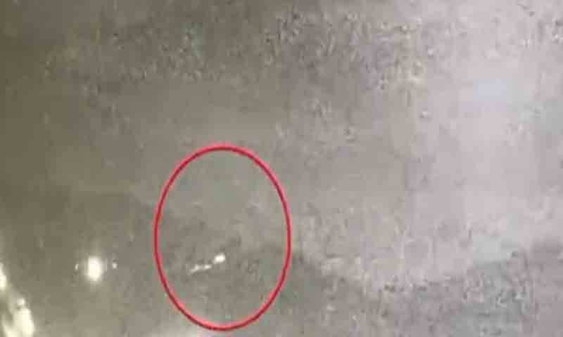 حاجی پیرسیکٹر میں پاک فوج کی مؤثر کارروائی، بھارتی جھنڈا زیارت پوسٹ تباہ پوسٹ تباہ