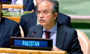 پاکستان نے سلامتی کونسل سے بی ایل اے پر پابندی کا مطالبہ کر دیا