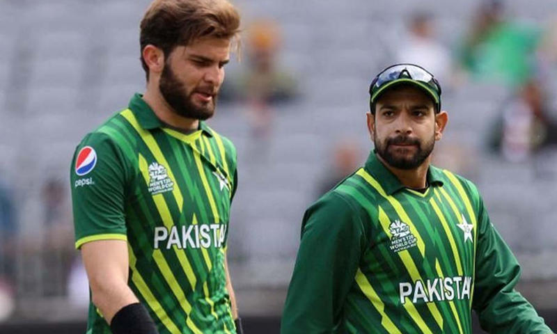 شاہین آفریدی اور حارث