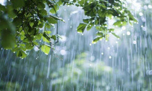 17 سے 25 مارچ تک ملک کے مختلف علاقوں میں بارش اور آندھی کی پیشگوئی