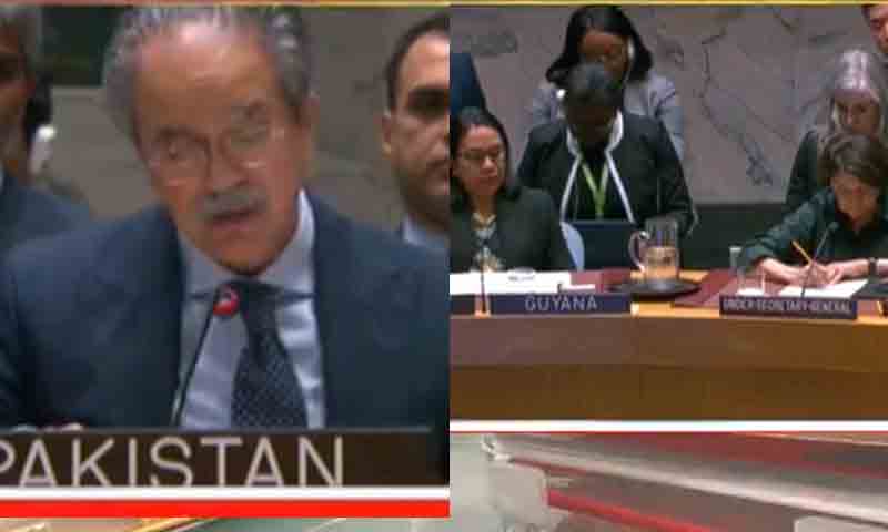 پاکستانی مندوب