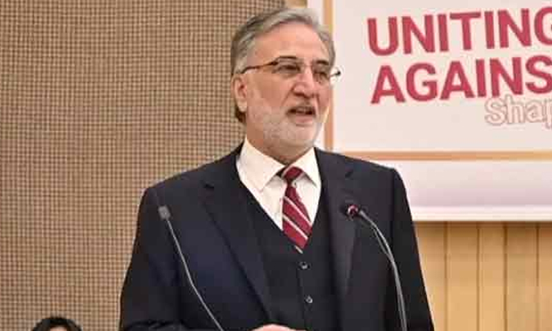 چیئرمین نیب