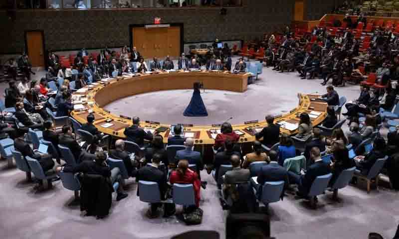 سلامتی کونسل