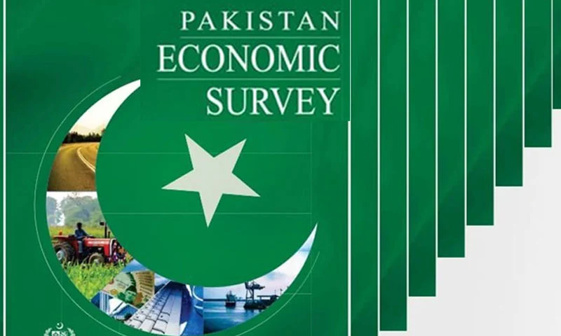 اقتصادی سروے کل پیش کیا جائیگا ، حکومت معاشی شرح نمو کا ہدف حاصل کرنے میں ناکام اقتصادی سروے