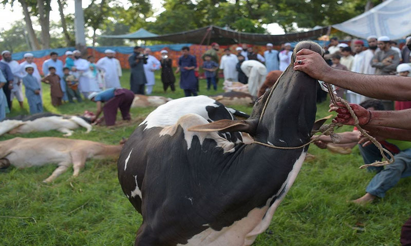 عیدالاضحیٰ