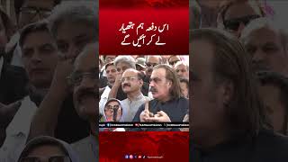 Ali Amin Gandapur Big Statement About PTI Protest | Hum News #aliamingandapur #ptiofficial #humnews