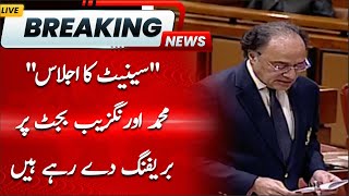 Senate Session | Muhammad Aurangzeb is Giving a Briefing on the Budget