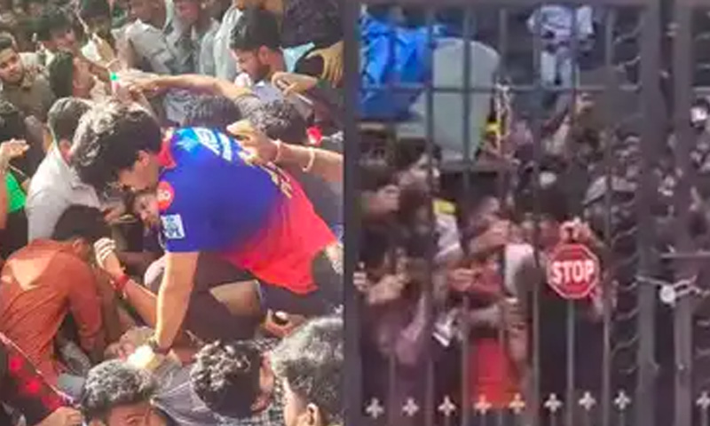 آئی پی ایل