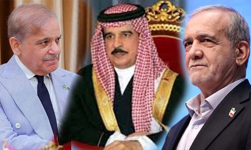 وزیراعظم شہباز شریف