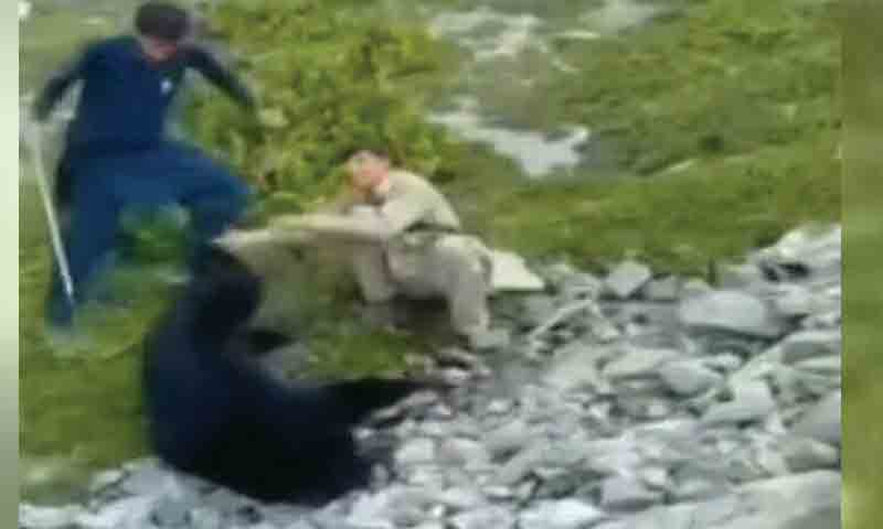 غیر قانونی شکار