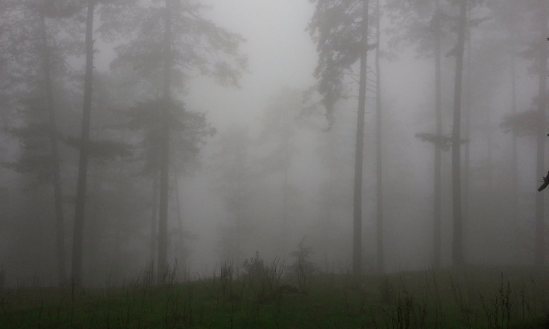 مری کا موسم