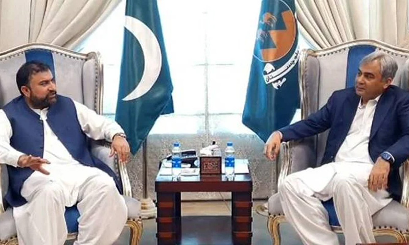 وفاقی وزیر داخلہ