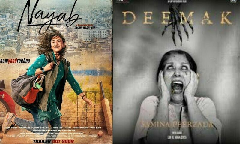 فلم فیسٹیول