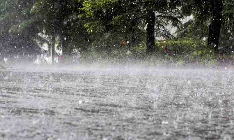 موسلادھار بارش